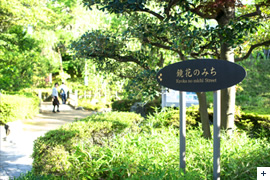 かずえや近郊「鏡花のみち」